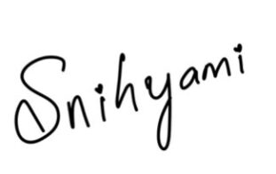 snihyami.com